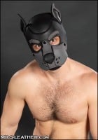 Psia maska Mr. S Leather Neoprene K9 Hood šedá