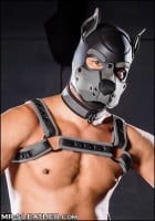 Psia maska Mr. S Leather Neoprene K9 Hood šedá