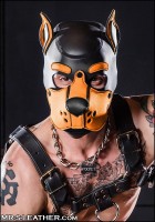 Psia maska Mr. S Leather Neoprene K9 Hood oranžová