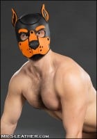 Mr. S Leather Neoprene K9 Hood Orange