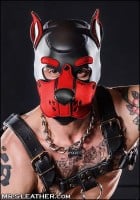 Mr. S Leather Neoprene K9 Hood Red