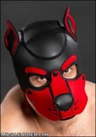 Psí maska Mr. S Leather Neoprene K9 Hood červená