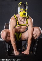 Mr. S Leather Neoprene K9 Hood Yellow