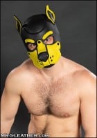 Mr. S Leather Neoprene K9 Hood Yellow