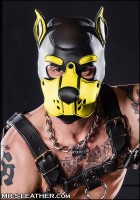 Mr. S Leather Neoprene K9 Hood Yellow