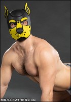 Mr. S Leather Neoprene K9 Hood Yellow