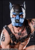 Psia maska Mr. S Leather Neoprene K9 Hood modrá