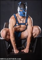 Psí maska Mr. S Leather Neoprene K9 Hood modrá (Cobalt)