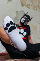 Sk8erboy Puppy Short Crew Socks