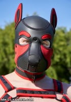 Psí maska Mr. S Leather Neoprene Frisky Pup Hood červená