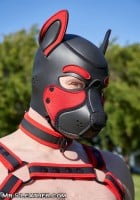 Psia maska Mr. S Leather Neoprene Frisky Pup Hood červená