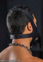 Mr. S Leather Neo Face Muzzle Head Harness