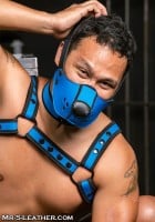 Postroj na hlavu Mr. S Leather Neo Face Muzzle