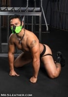 Mr. S Leather Neo Face Muzzle Head Harness