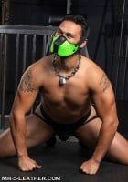 Mr. S Leather Neo Face Muzzle Head Harness