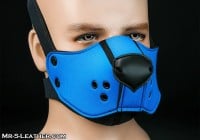 Mr. S Leather Neo Face Muzzle Head Harness