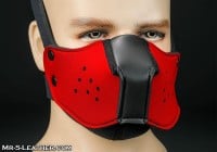 Mr. S Leather Neo Face Muzzle Head Harness