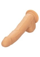 Realistické dildo CalExotics Silicone Studs 8″ hnědé