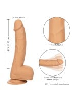 Realistické dildo CalExotics Silicone Studs 8″ hnedé