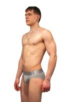 Twisted Beast Phantom Brief Grey