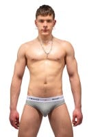 Twisted Beast Insignia Brief Grey