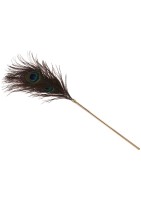 Taboom Dona Peacock Tickler