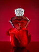 Feromony pro ženy Eye of Love Matchmaker Red Diamond Attract Him 30 ml