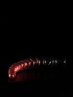 Dildo Twisted Beast Asmodeus Demon Blood (Ombre) stredné