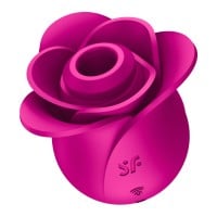 Stimulátor klitorisu Satisfyer Pro 2 Modern Blossom