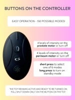 Lola Games Spice It Up P-Bliss Vibrating Prostate Stimulator