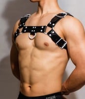 D.M Body Harness Blue