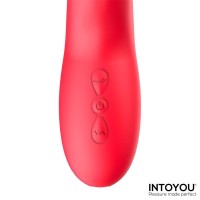 Multifunkčný vibrátor Intoyou Grant