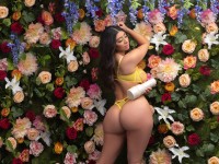 Masturbátor Fleshlight Girls: Violet Myers Waifu