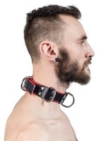 Obojek Mister B Slave Collar 4 D-Rings šedý