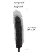 Hidden Desire Inflatable Dong Dildo
