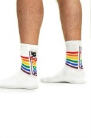 Sk8erboy Pride Socks