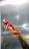 Womanizer Liberty 2 Iggy Azalea Clit Stimulator