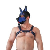 Brutus Pup Hood Black-Blue