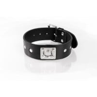 Kožený obojek Whips Primal Bond Studded Collar Small černý