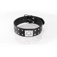 Kožený obojek Whips Primal Bond Double Studded Collar Small černý