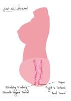 Torzo Hidden Desire Bangers Juicy Double D