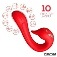 Multifunkčný vibrátor Intoyou Swana