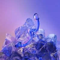 Biird Ohwii by Wicul Double-Sided Dildo