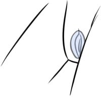 Svakom Echo 2 Finger Vibrator Blue
