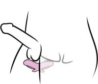 Svakom Echo 2 Finger Vibrator Blue