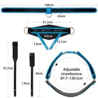 Lovetoy Ingen 10″ Enhanced Set Hollow Strap-on Dildo with Harness