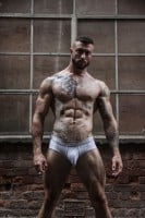 Sukrew Apex Brief Checker