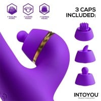 Multifunkčný vibrátor Intoyou Siter 2.0