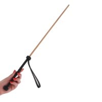 Trstenica Hidden Desire The Obedience Cane