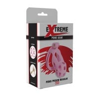 Hidden Desire Extreme Penis Prison Cock Cage Regular Pink